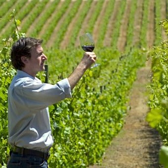 Ruta del vino