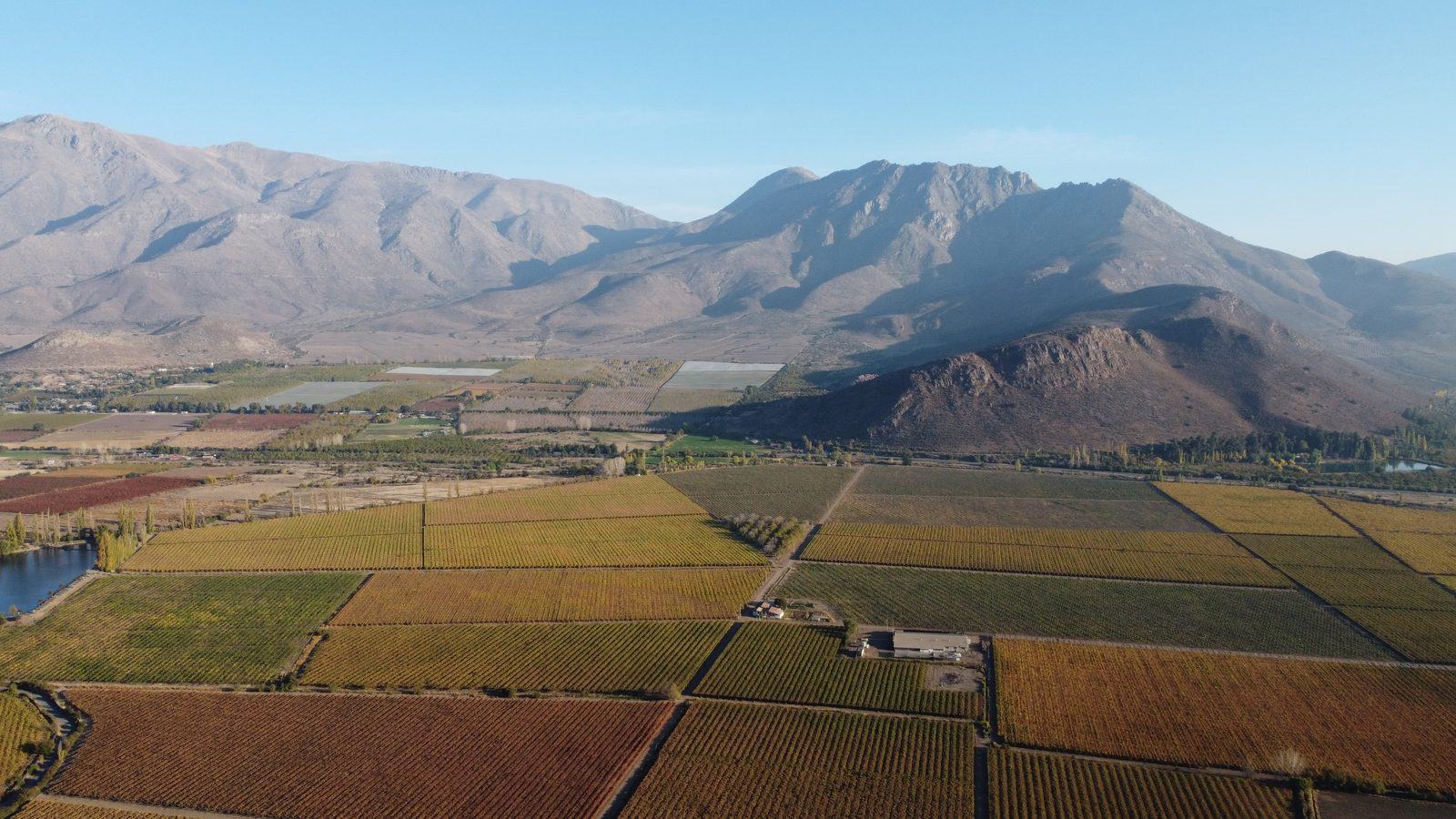 Los paños del sector desde el aire, con el valle y los cerros al fondo